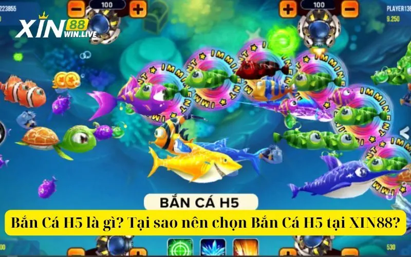 Bắn Cá H5 là gì Tại sao nên chọn Bắn Cá H5 tại XIN88